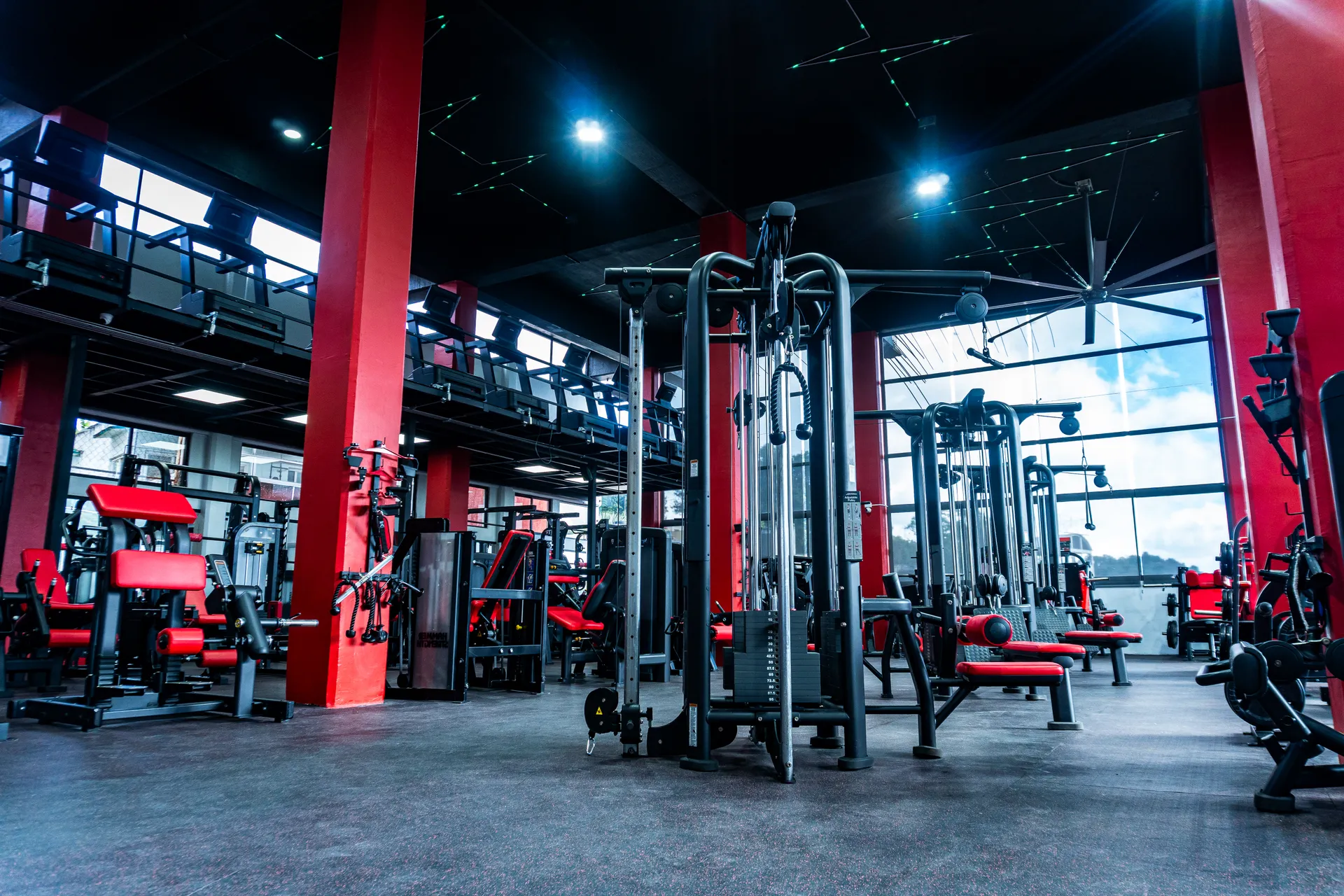 Calentamiento dinámico antes de entrenar