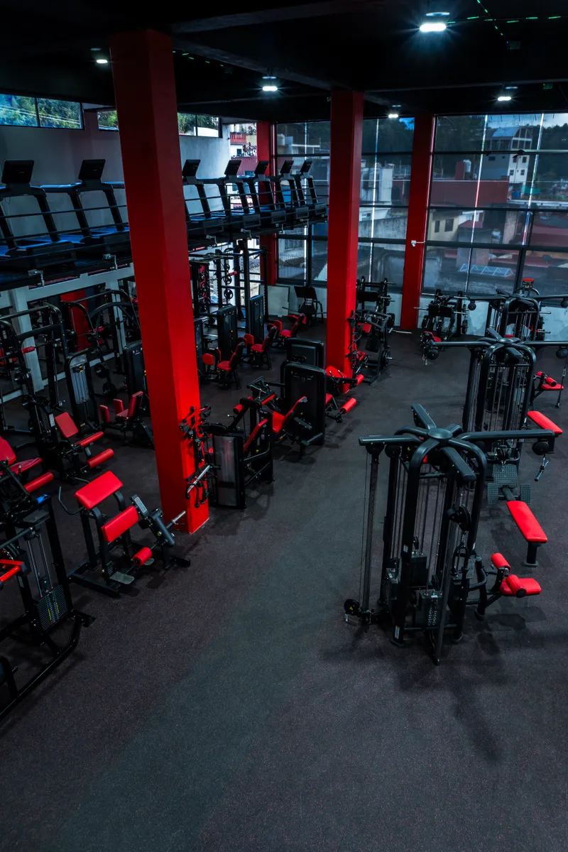 Estiramientos para después de entrenar